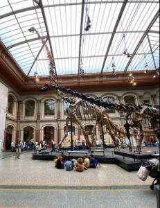 Naturkundemuseum-2026-1