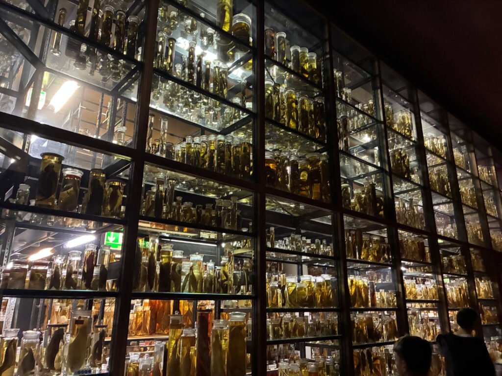 Naturkundemuseum-2026-2
