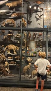 Naturkundemuseum-2026-3